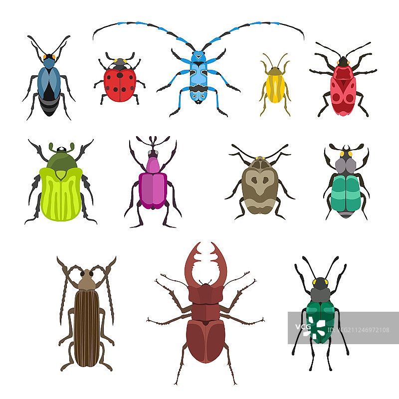 昆虫图标扁平设计图片素材