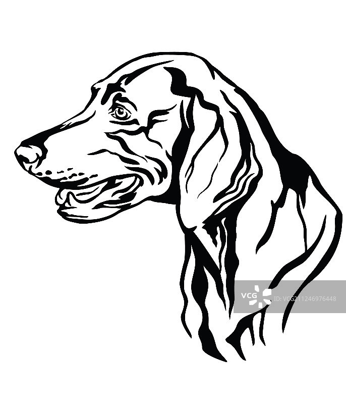 魏玛犬装饰肖像图片素材