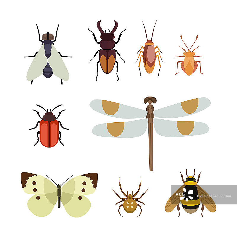 昆虫图标扁平蝴蝶图片素材