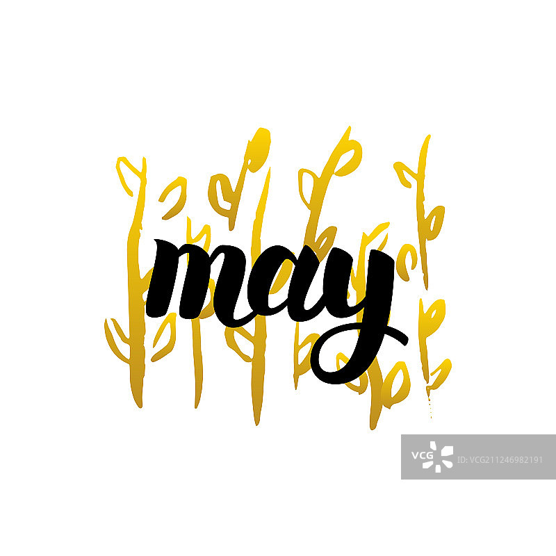 手写五月字样图片素材