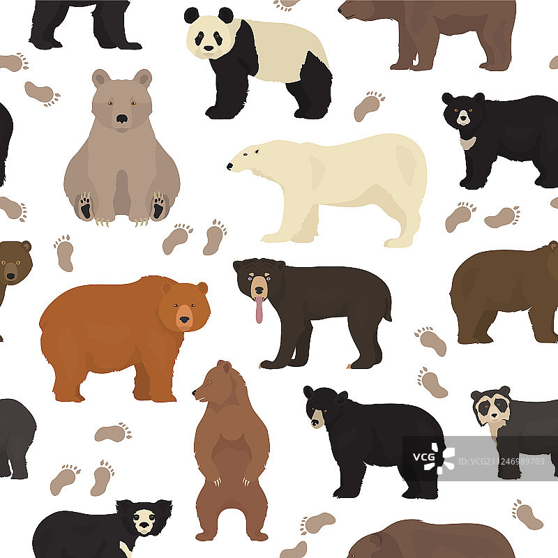 世界熊类物种合集无缝图案图片素材