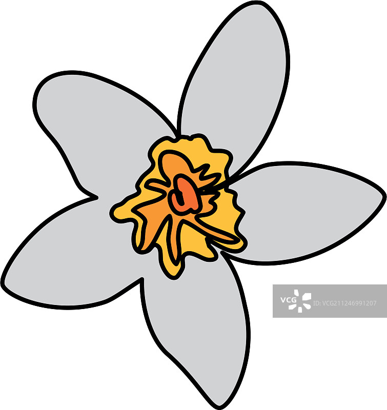 异域热带花朵图标图片素材