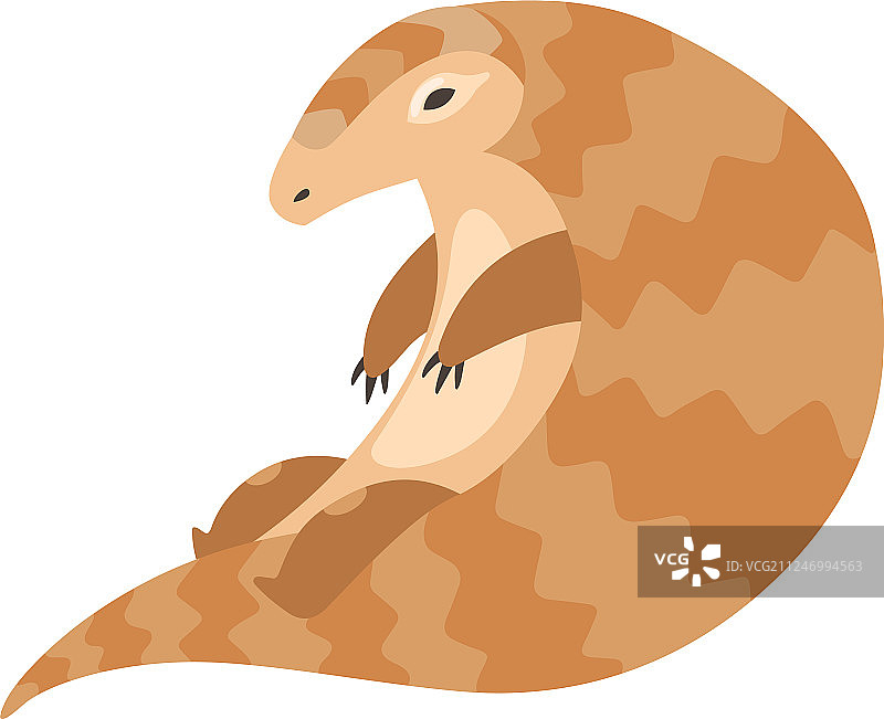 可爱的坐姿穿山甲稀有动物图片素材