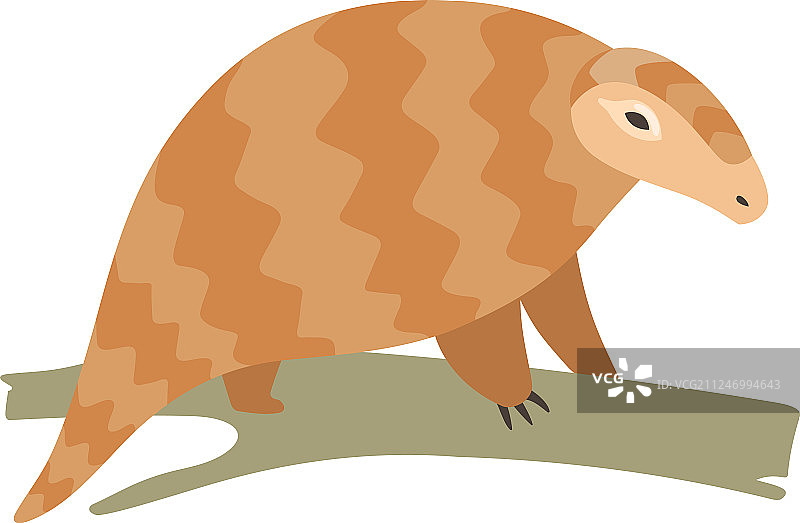 可爱的穿山甲坐在树枝上，稀有物种图片素材