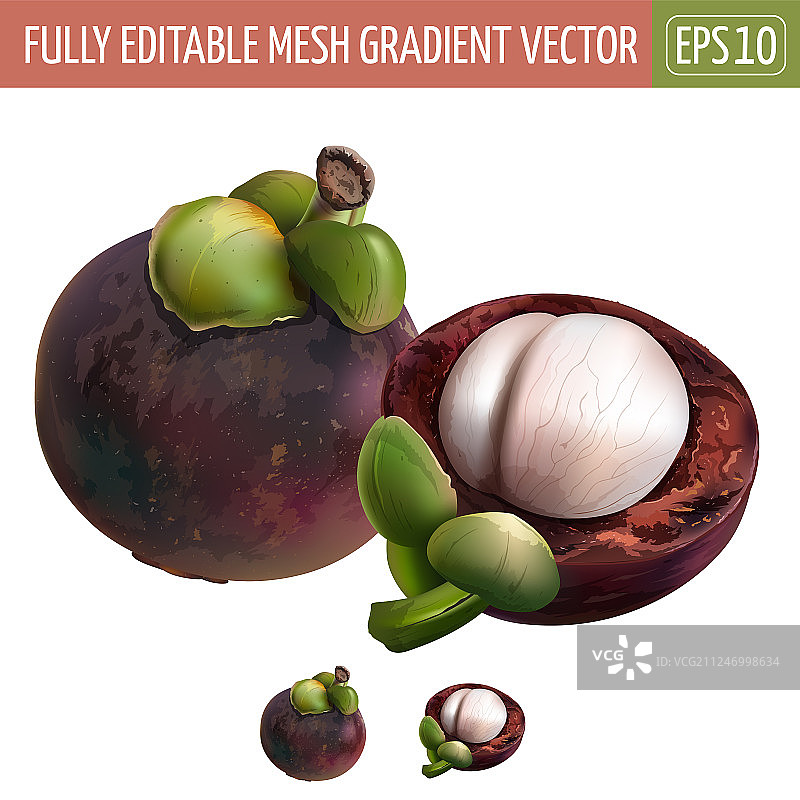 白色背景上的山竹图片素材