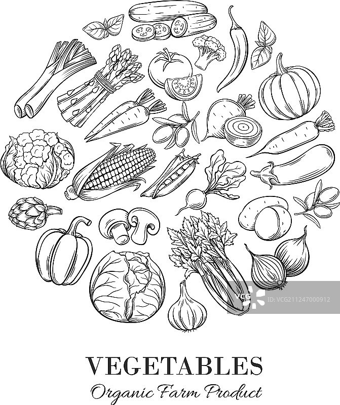 手绘蔬菜圆形海报构图图片素材