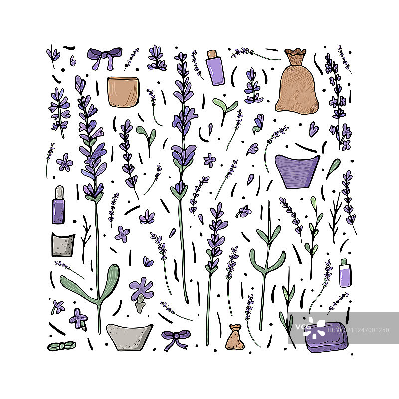 涂鸦风格的薰衣草花朵组合图片素材