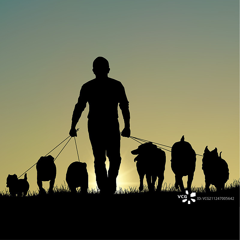 日落时遛狗的男人轮廓模板图片素材