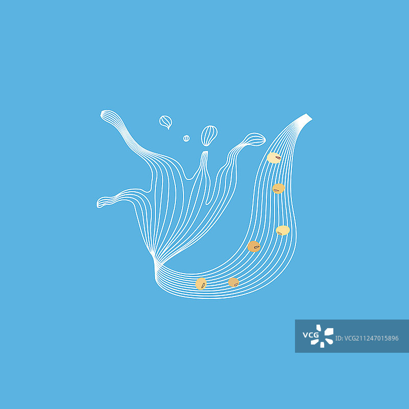 飞溅的豆浆与大豆图片素材