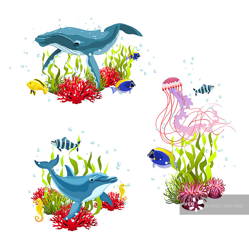 海洋生物构成图片素材