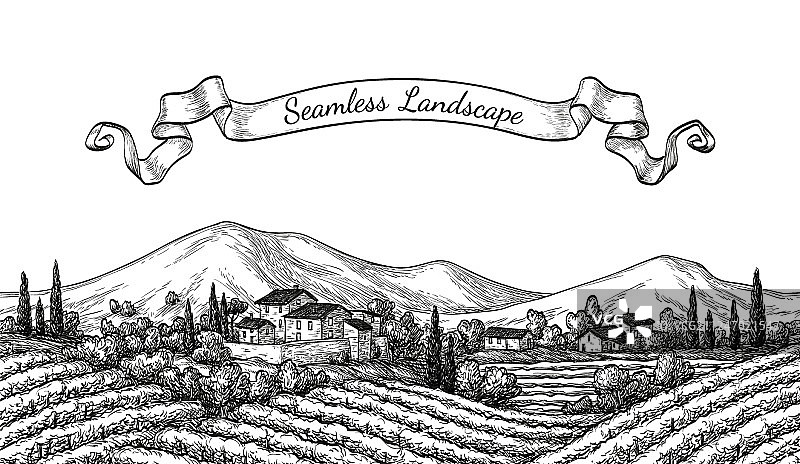 葡萄园无缝景观图片素材