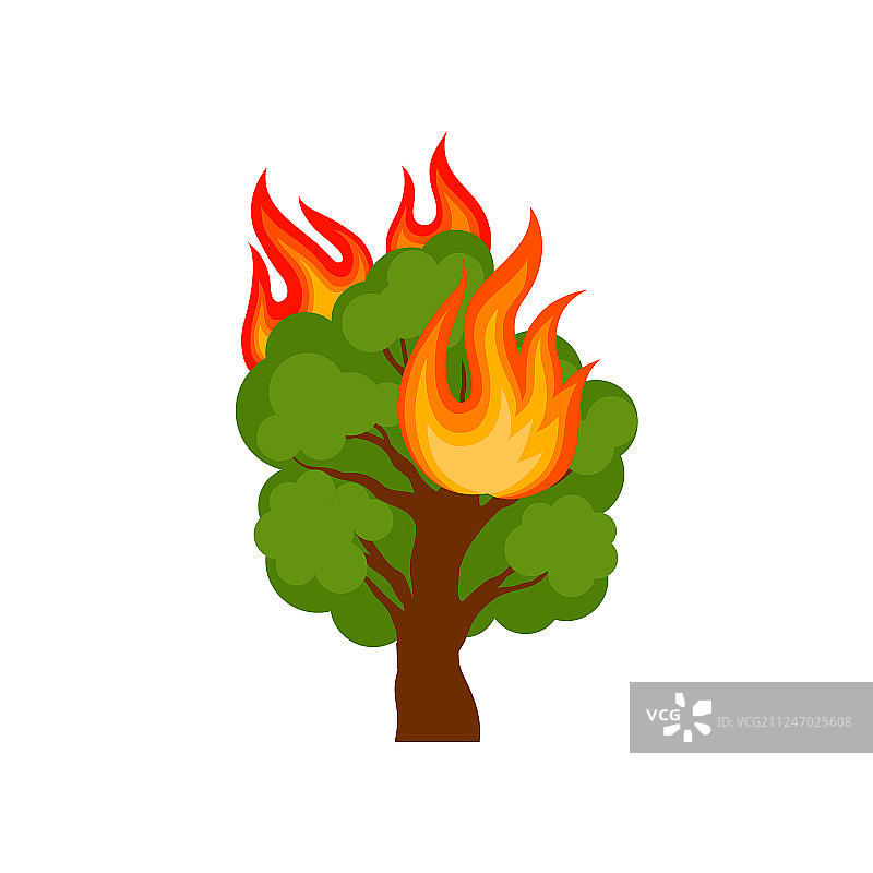 白色背景下燃烧的森林树木图片素材
