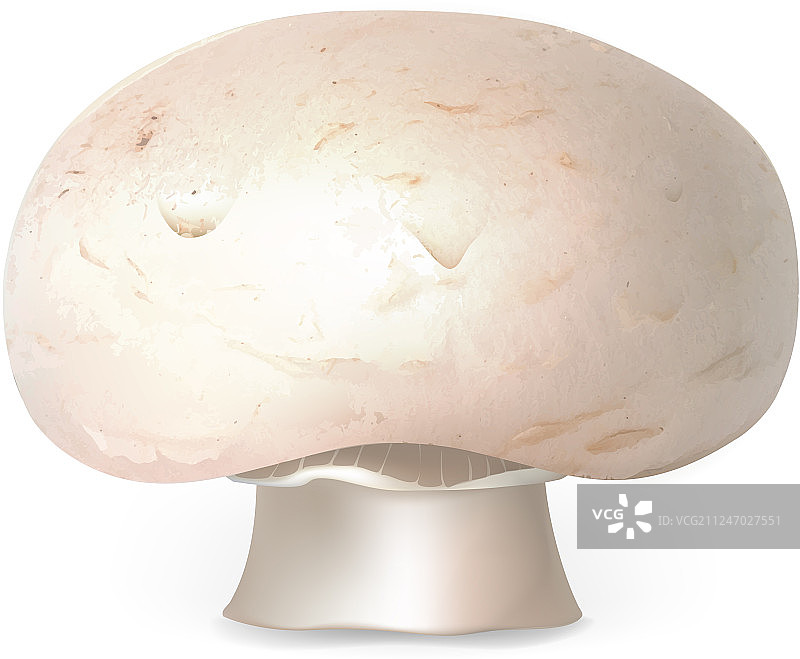 农场蘑菇图标写实风格图片素材