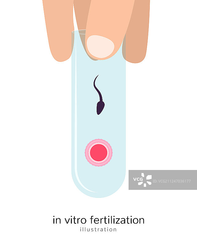 体外受精生物学图标图片素材
