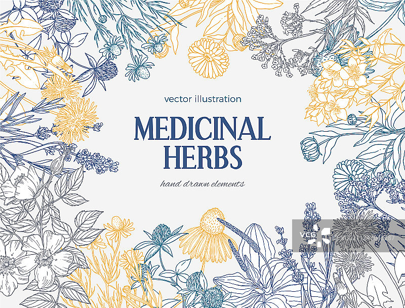 带有复古草图的矩形卡片模板图片素材