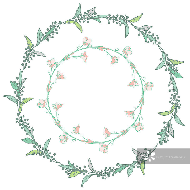 草本植物桂冠花环树枝图片素材