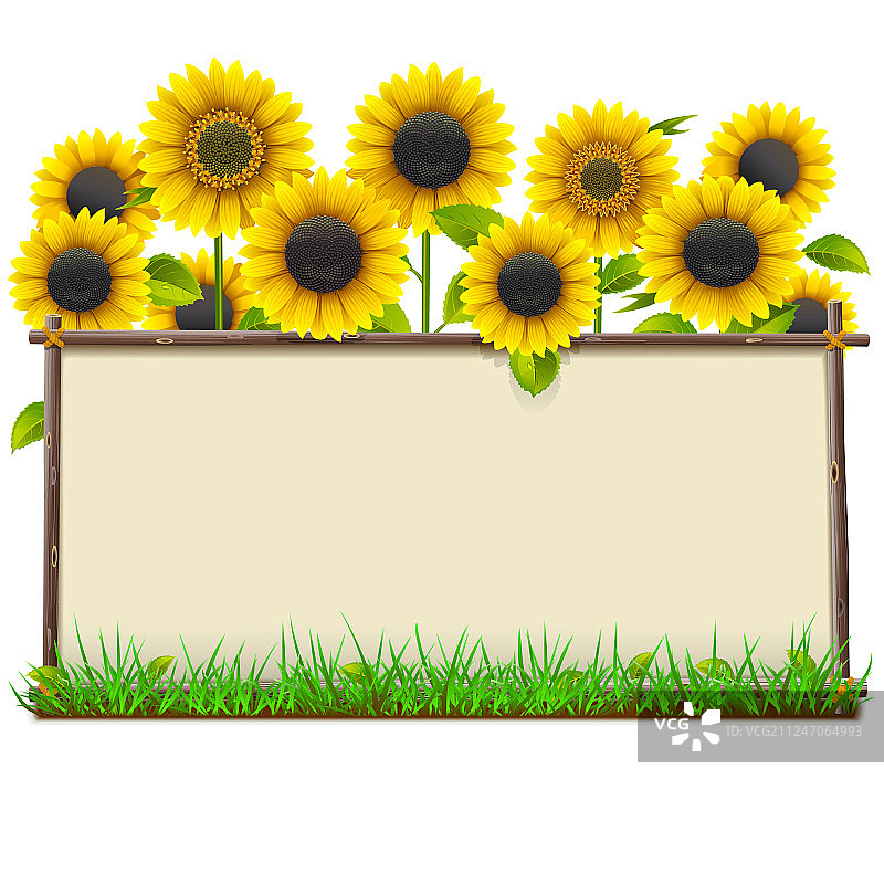 向日葵木制框架图片素材