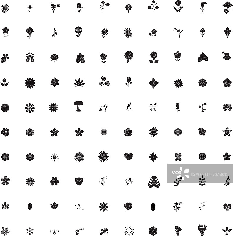 康乃馨黑色概念图标图片素材