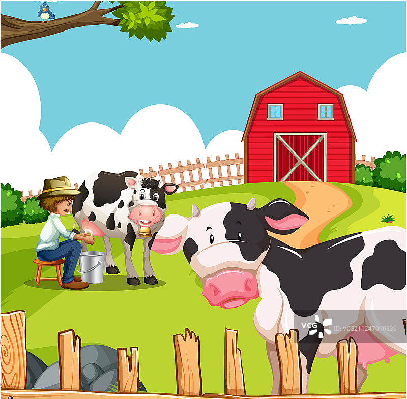 男人和农场里的奶牛图片素材