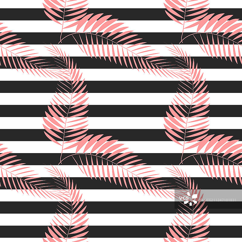 热带异国植物棕榈叶图片素材