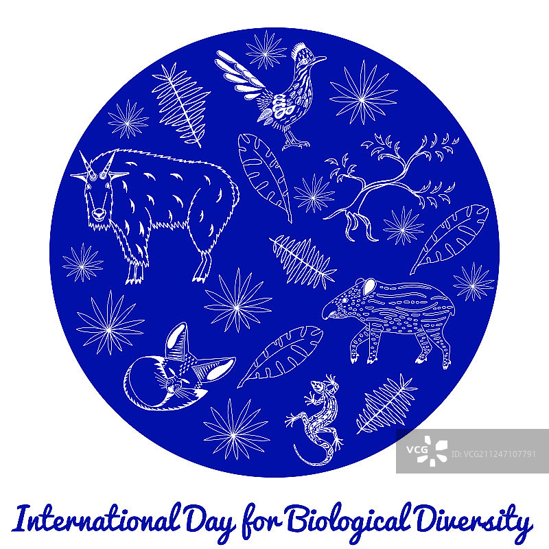 国际生物多样性日图片素材