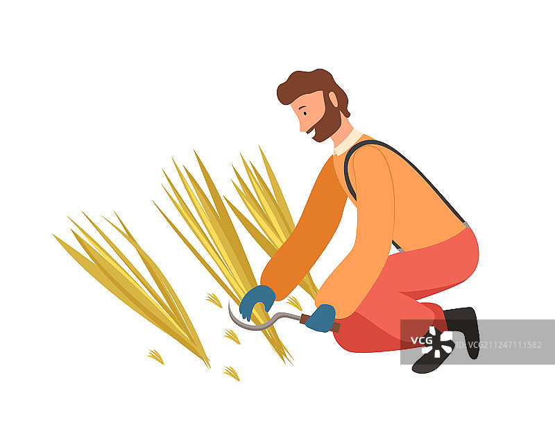 农业工人用镰刀割稻草图片素材