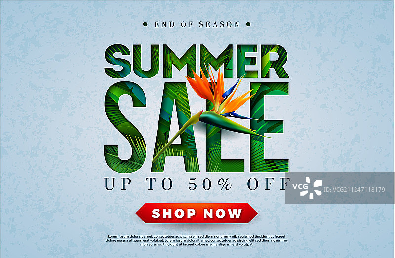 夏季促销设计与巨嘴鸟热带棕榈图片素材