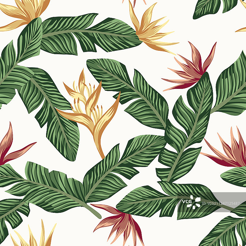 金色勃艮第天堂鸟叶子图片素材