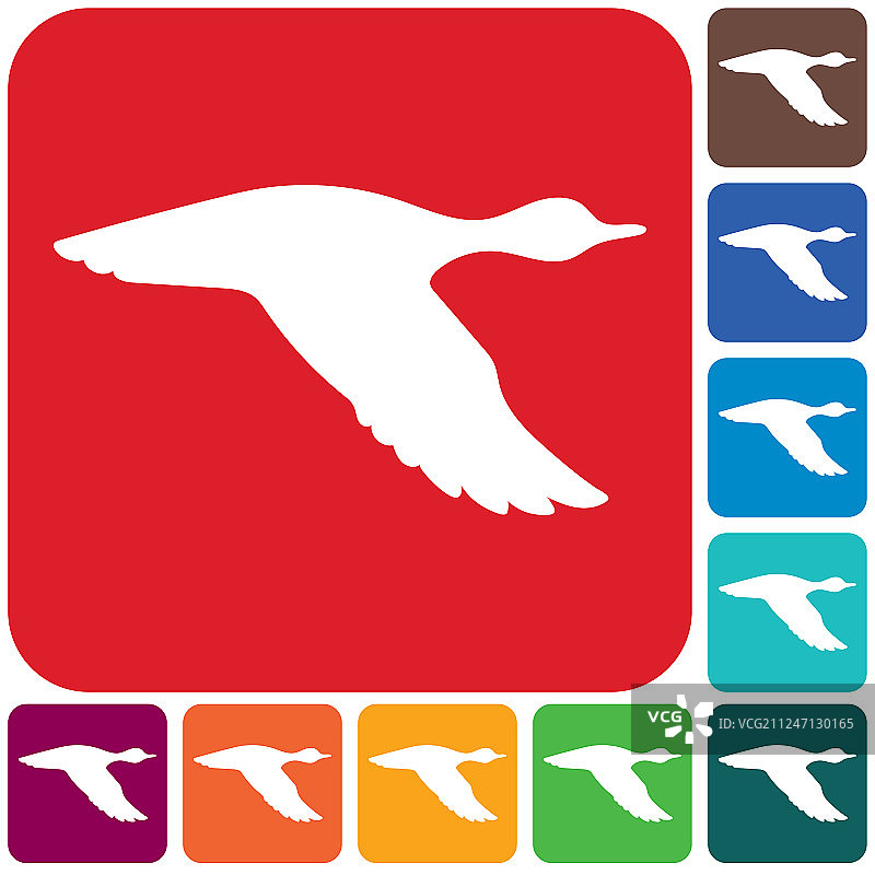 飞鸭轮廓图片素材