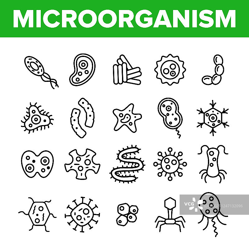 微生物细胞细线图标集图片素材