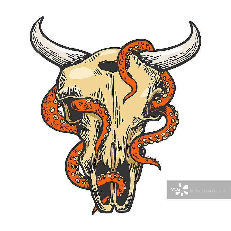 牛头骨中的章鱼彩色草图图片素材