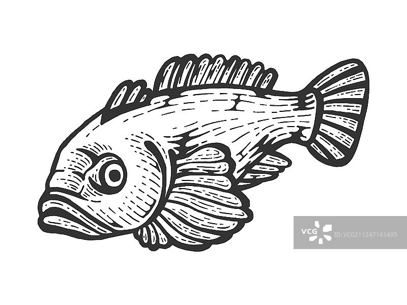 金鱼草图图片素材