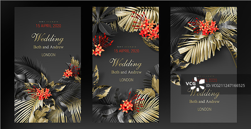 热带黑色和金色的叶子在黑暗的背景图片素材