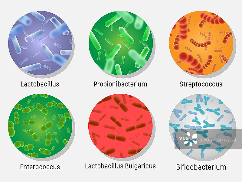 圆形细菌菌群集合图片素材