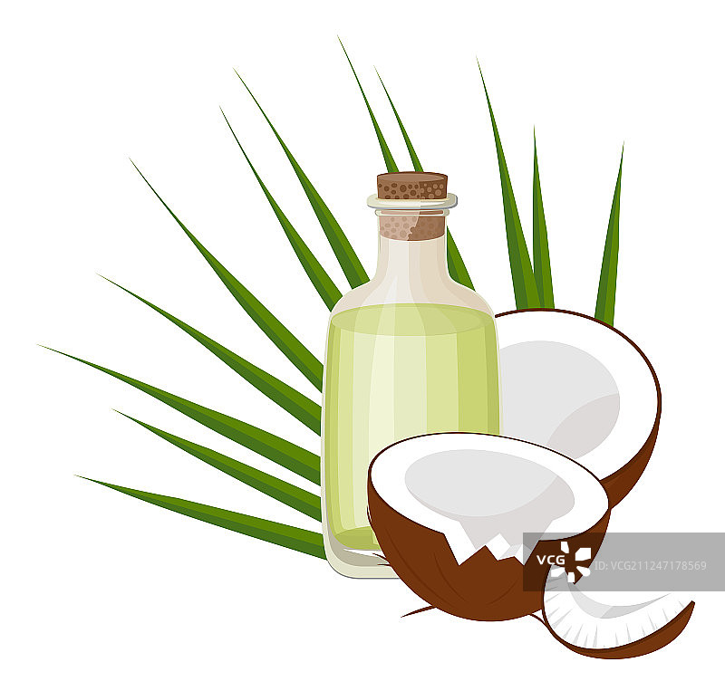椰子和椰子油与热带棕榈叶图片素材