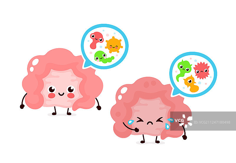 肠道中的微观细菌微生物群图片素材
