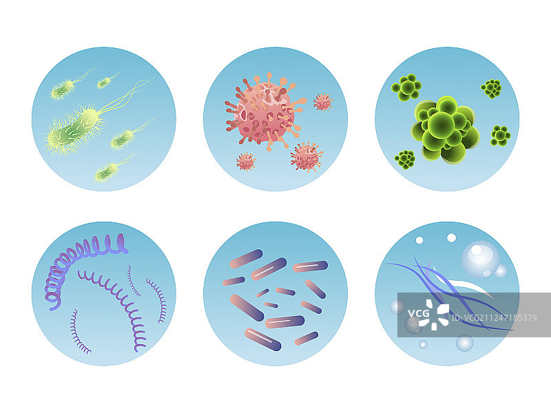 细菌和病毒套装图片素材