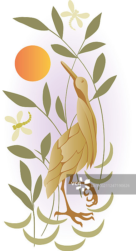 沼泽鸟望着月亮图片素材