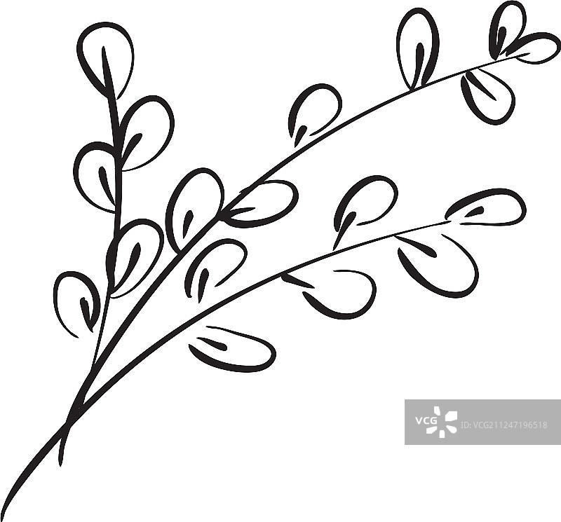 手绘柳絮枝条图片素材