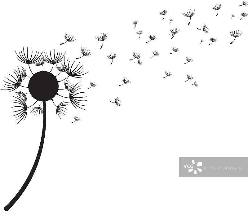 蒲公英设计图片素材