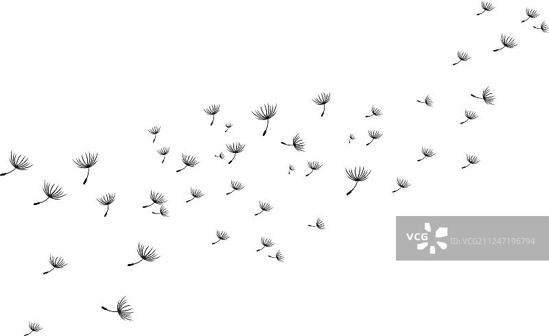 蒲公英设计图片素材