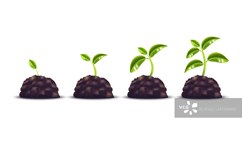 逼真细致的3D绿色植物图片素材