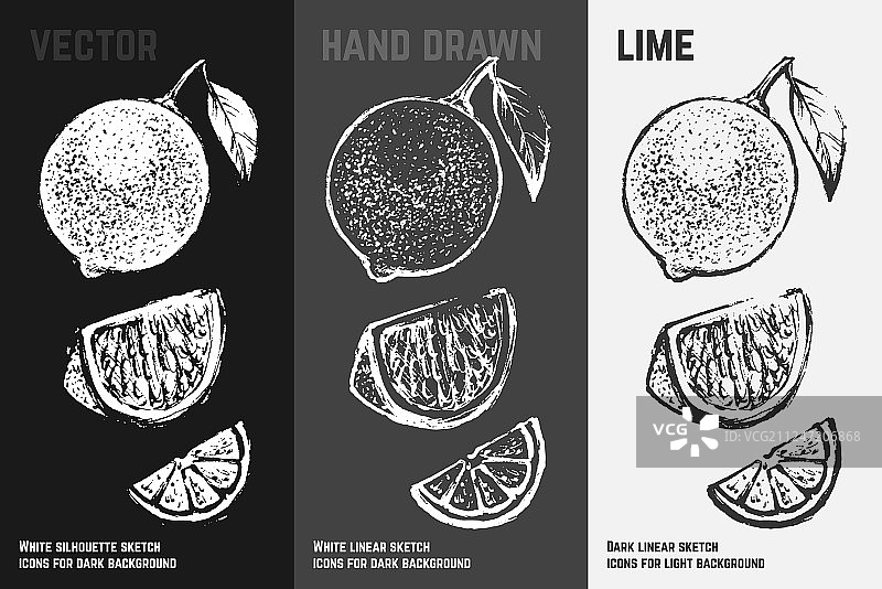 手绘柑橘图标集：含叶子的青柠图片素材