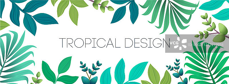 色彩鲜艳的异域热带夏季背景图片素材