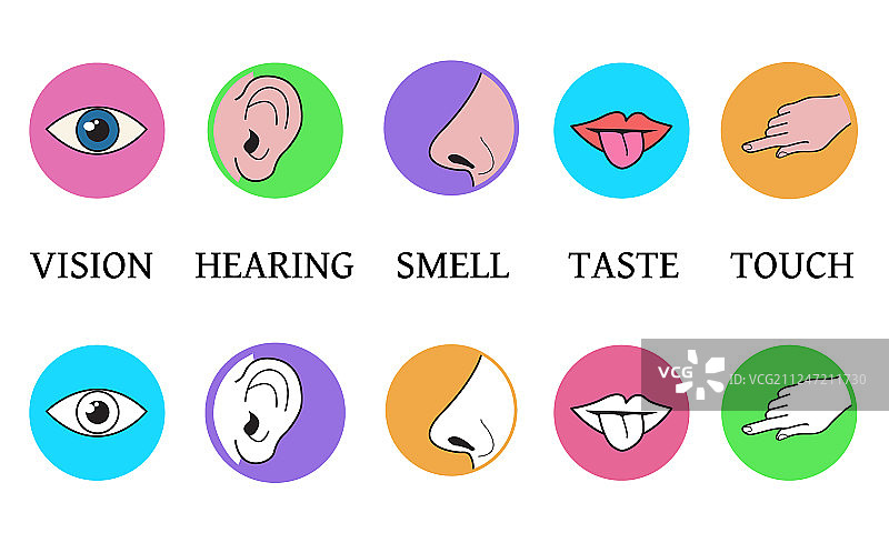 五种感知方法：味觉与视觉图片素材