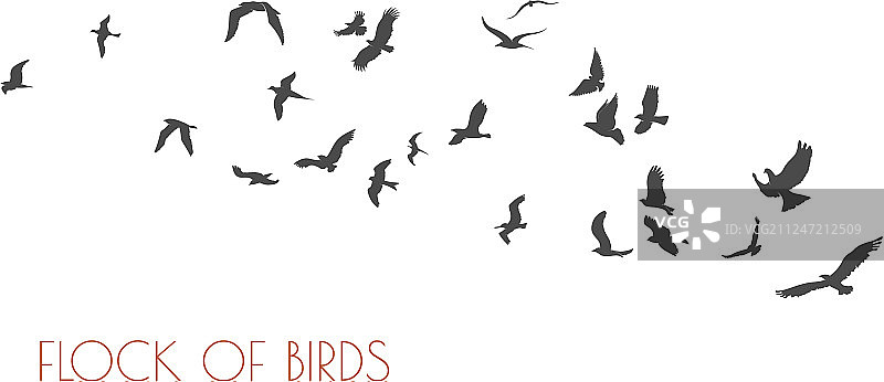 白色背景上成群飞翔的鸟类图片素材