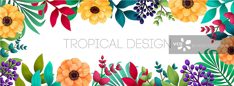 色彩鲜艳的异域热带夏季背景图片素材