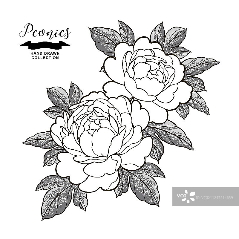 日式纹身风格的牡丹花叶图片素材