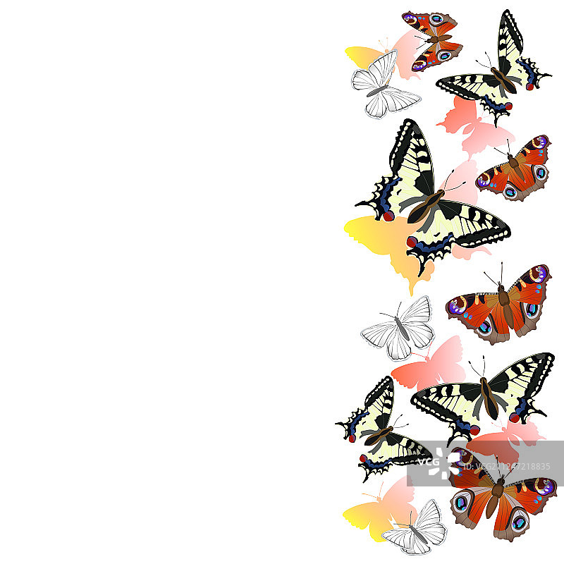 逼真写实燕尾蝶边框图片素材