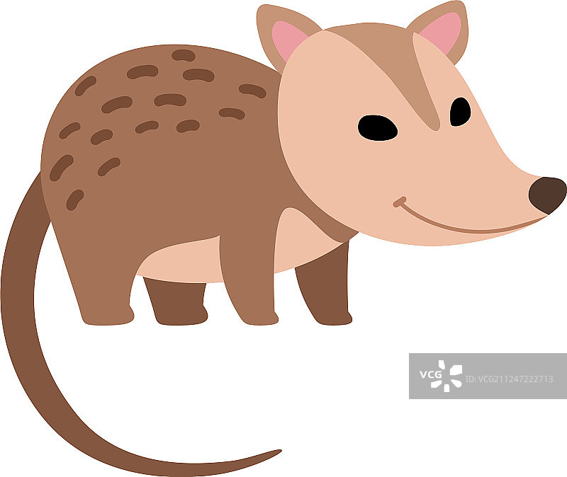 可爱的负鼠野生动物侧面图图片素材